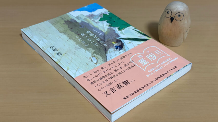 ここで唐揚げ弁当を食べないでください