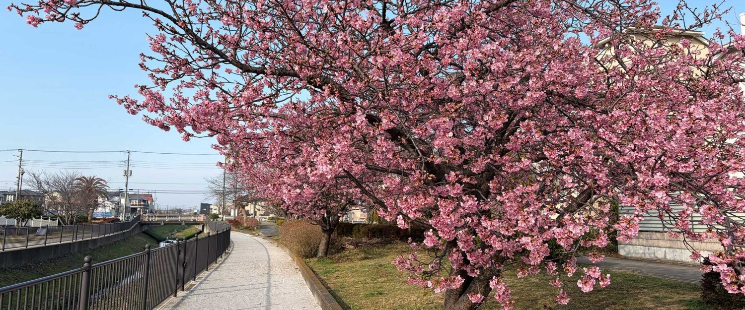 本と酒と、ときどき整え